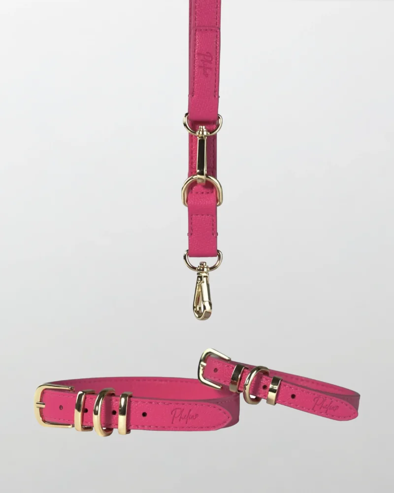 Walking Set — Raspberry