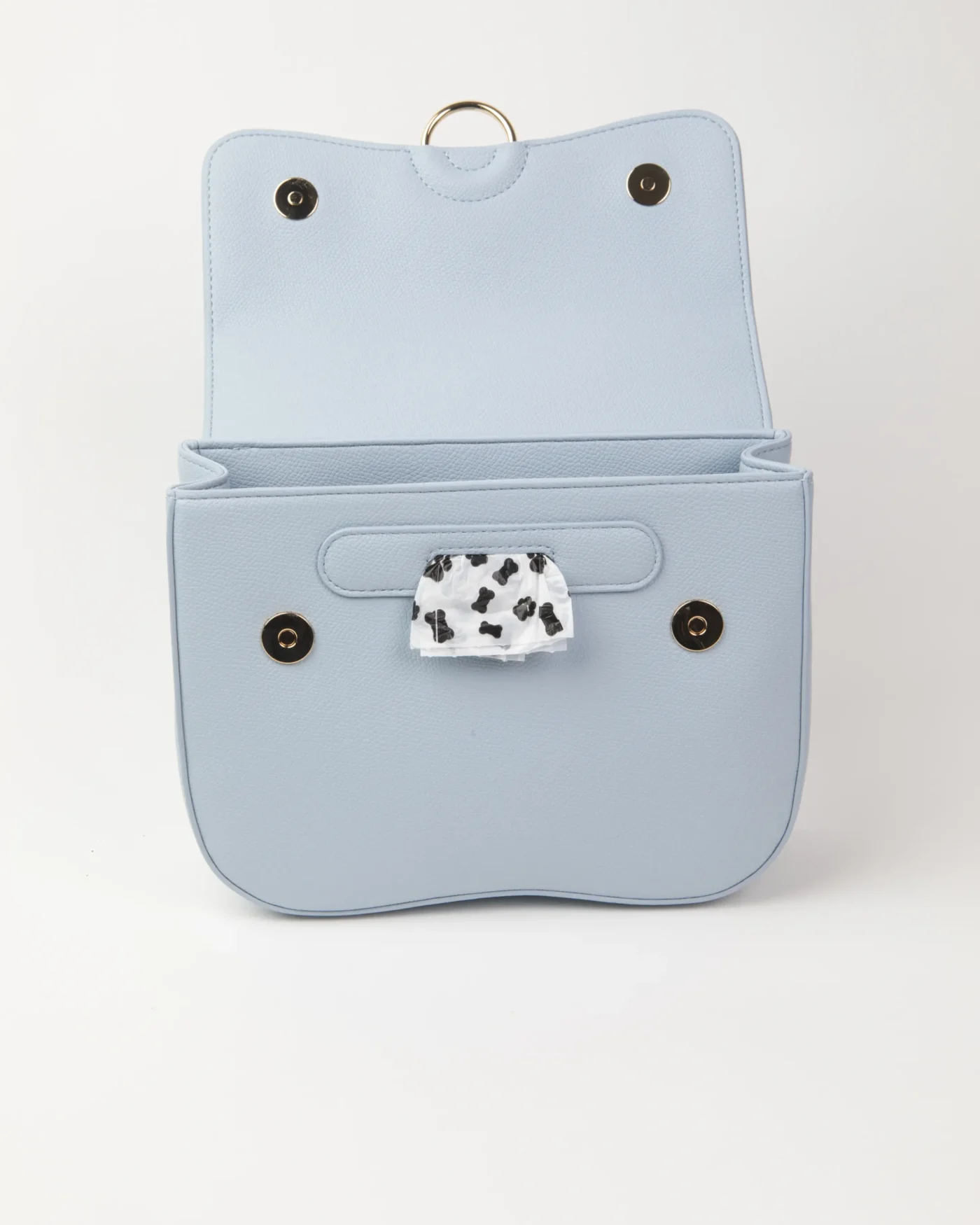 Bag — Blue sky